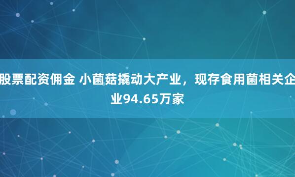 股票配资佣金 小菌菇撬动大产业，现存食用菌相关企业94.65万家