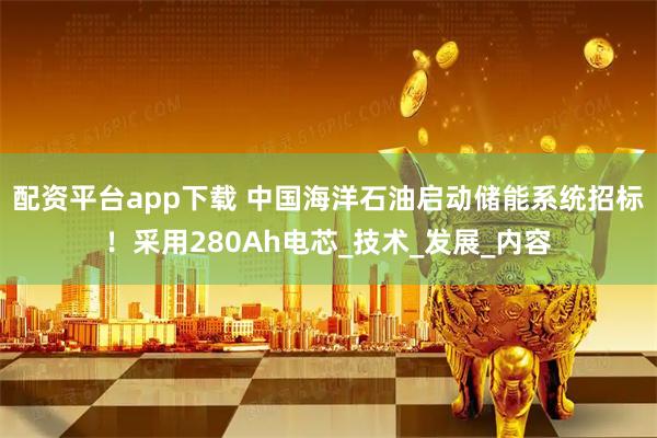 配资平台app下载 中国海洋石油启动储能系统招标！采用280Ah电芯_技术_发展_内容